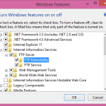 Figure 2. Add FTP Extension for IIS