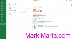 Figure 1. MS Office account section